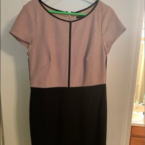 Ann Taylor Knee Length Dress